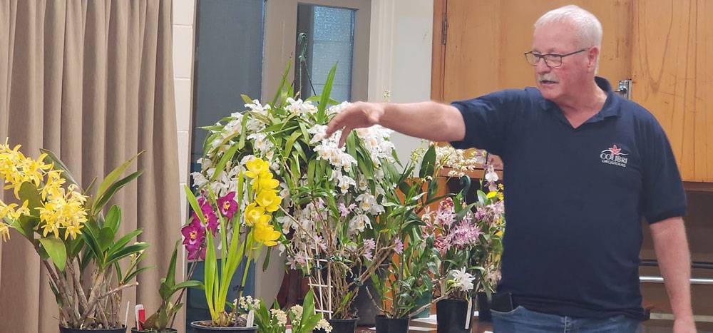 Next Meeting 5 Plant display at NZOS plant table with commentary by Allan Benson